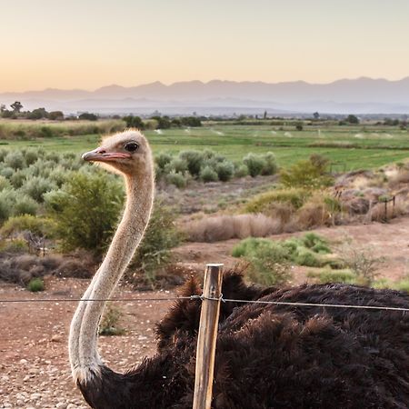 De Denne Country Guest House Oudtshoorn Eksteriør bilde